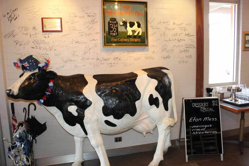 The Spotted Cow Hotel Signature Wall